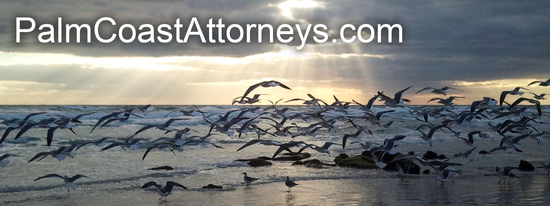 Palm Coast Attorneys